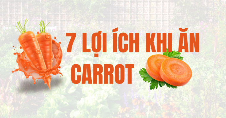 cham-soc-da-vinhomes